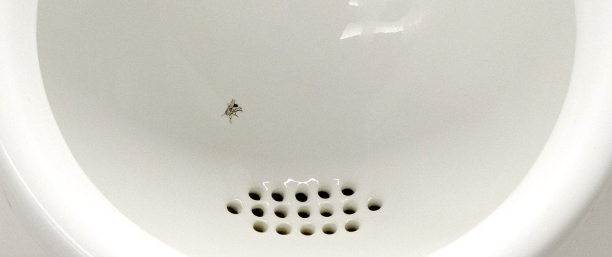 Photo of a urinal. A realistic looking image of a fly is etched close to the drain.